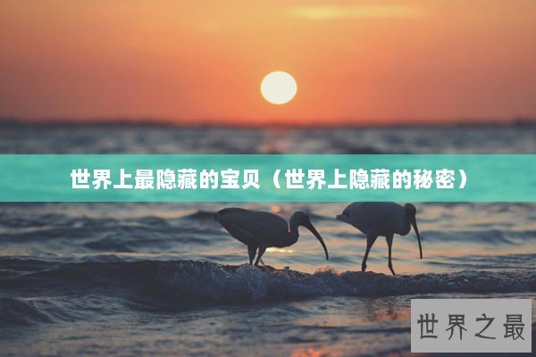 世界上最隐藏的宝贝(世界上隐藏的秘密) 世界上最隐藏的宝贝(世界上隐藏的秘密)
