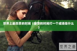 世界上最昂贵的时间（最贵的时间打一个成语是什么）