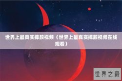 世界上最真实摔跤视频（世界上最真实摔跤视频在线观看）