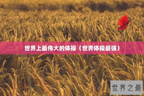 世界上最伟大的体操（世界体操最强）