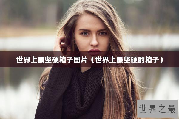 世界上最坚硬箱子图片（世界上最坚硬的箱子）