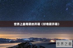 世界上最奇葩的开箱（好奇葩开箱）