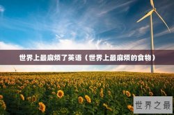 世界上最麻烦了英语（世界上最麻烦的食物）