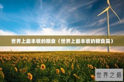 世界上最丰收的粮食（世界上最丰收的粮食是）