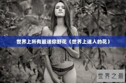 世界上所有最迷你野花（世界上迷人的花）