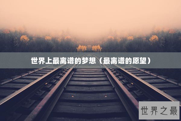 世界上最离谱的梦想（最离谱的愿望）