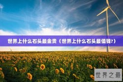 世界上什么石头最金贵（世界上什么石头最值钱?）
