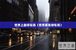 世界上最停车场（世界著名停车场）