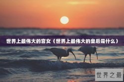 世界上最伟大的宫女（世界上最伟大的皇后是什么）