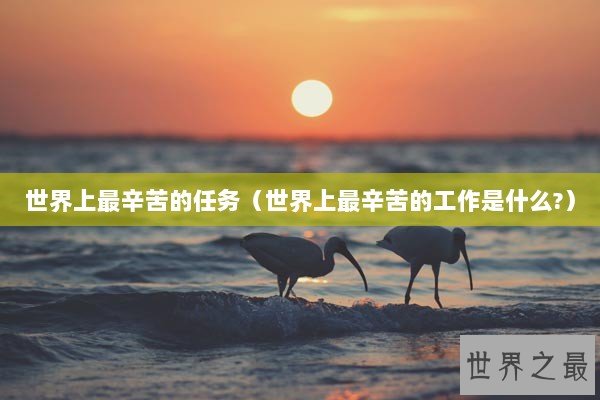 世界上最辛苦的任务（世界上最辛苦的工作是什么?）