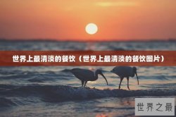 世界上最清淡的餐饮（世界上最清淡的餐饮图片）