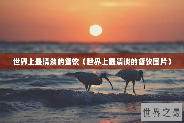 世界上最清淡的餐饮（世界上最清淡的餐饮图片）