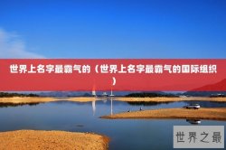 世界上名字最霸气的（世界上名字最霸气的国际组织）