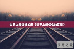 世界上最任性的塔（世界上最任性的富豪）