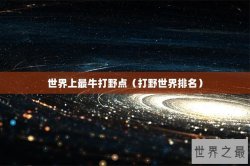 世界上最牛打野点（打野世界排名）
