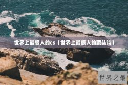 世界上最感人的cs（世界上最感人的藏头诗）