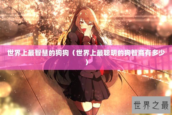 世界上最智慧的狗狗（世界上最聪明的狗智商有多少）