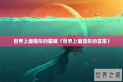 世界上最隐形的猫咪（世界上最隐形的富豪）