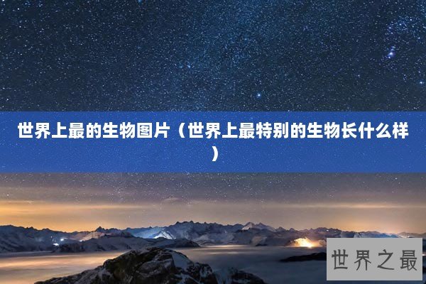 世界上最的生物图片（世界上最特别的生物长什么样）