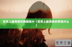 世界上最奇葩双截棍图片（世界上最奇葩的事是什么）