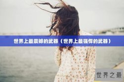 世界上最震撼的武器（世界上最强悍的武器）