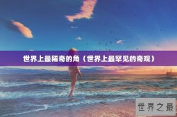 世界上最稀奇的角（世界上最罕见的奇观）