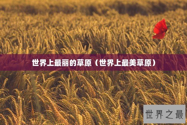 世界上最丽的草原（世界上最美草原）