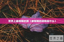 世界上最模糊的路（最模糊的动物是什么）