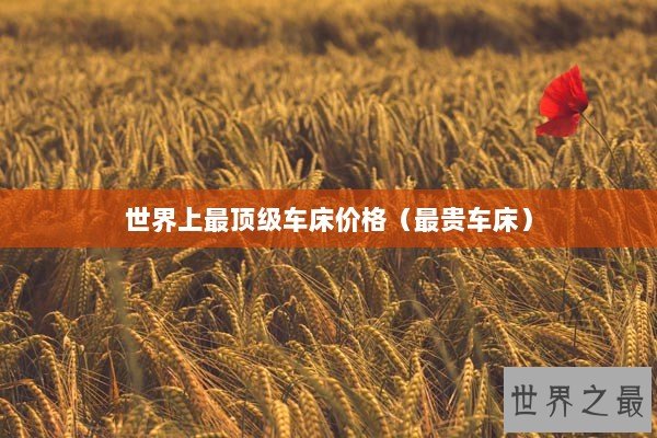 世界上最顶级车床价格（最贵车床）