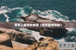 世界上最帅的单排（世界最帅帅的）