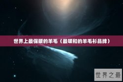 世界上最保暖的羊毛（最暖和的羊毛衫品牌）