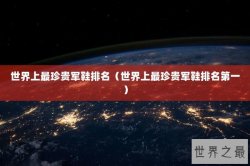 世界上最珍贵军鞋排名（世界上最珍贵军鞋排名第一）