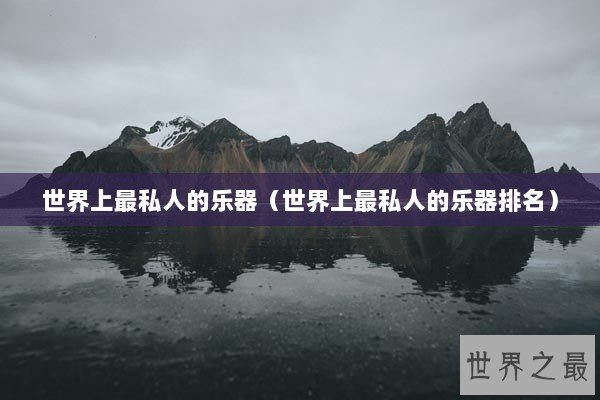 世界上最私人的乐器（世界上最私人的乐器排名）