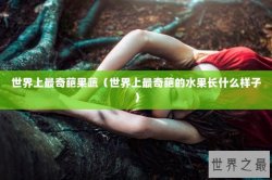 世界上最奇葩果蔬（世界上最奇葩的水果长什么样子）