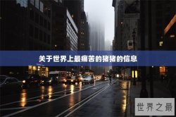 关于世界上最痛苦的猪猪的信息