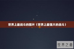 世界上最战斗的图片（世界上最强大的战斗）