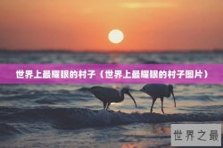世界上最耀眼的村子（世界上最耀眼的村子图片）