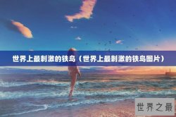 世界上最刺激的铁鸟（世界上最刺激的铁鸟图片）
