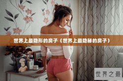 世界上最隐形的房子（世界上最隐秘的房子）