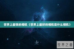 世界上最锐的相机（世界上最好的相机是什么相机）