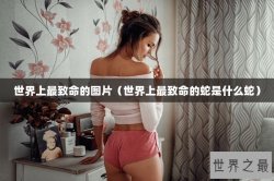 世界上最致命的图片（世界上最致命的蛇是什么蛇）