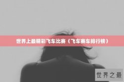 世界上最精彩飞车比赛（飞车赛车排行榜）