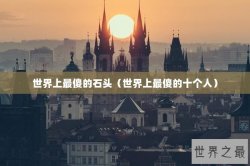 世界上最傻的石头（世界上最傻的十个人）