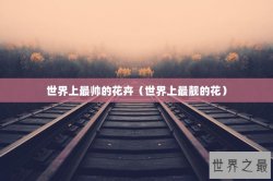 世界上最帅的花卉（世界上最靓的花）