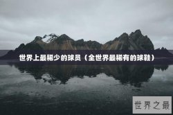 世界上最稀少的球员（全世界最稀有的球鞋）
