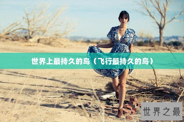 世界上最持久的鸟（飞行最持久的鸟）