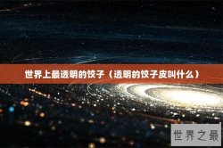 世界上最透明的饺子（透明的饺子皮叫什么）
