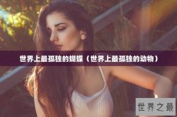 世界上最孤独的蝴蝶（世界上最孤独的动物）