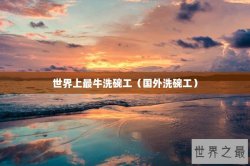 世界上最牛洗碗工（国外洗碗工）