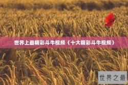 世界上最精彩斗牛视频（十大精彩斗牛视频）
